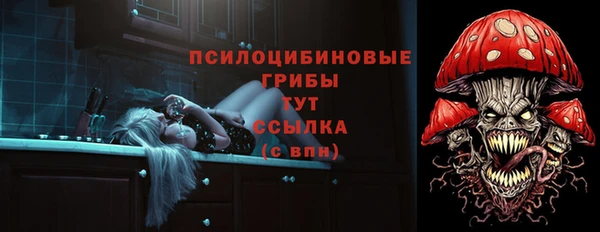гашик Чегем