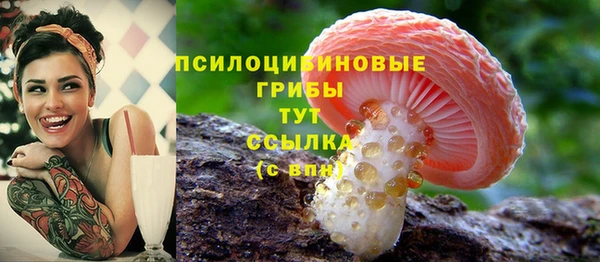 MDMA Бородино