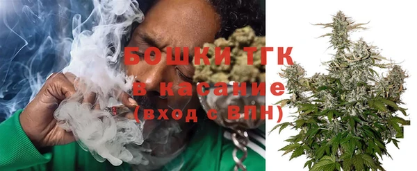 сатива Бронницы