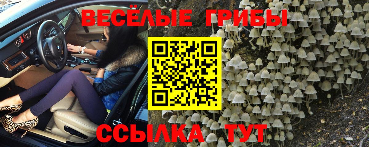 Галлюциногенные грибы Cubensis  Вход с VPN  Печора 